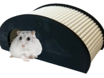 Hamster toy set