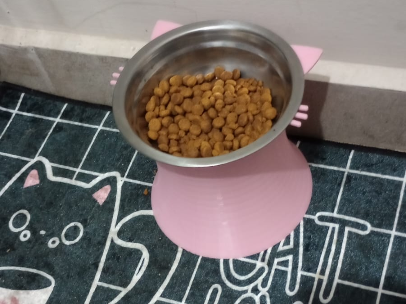 cat feeder lift