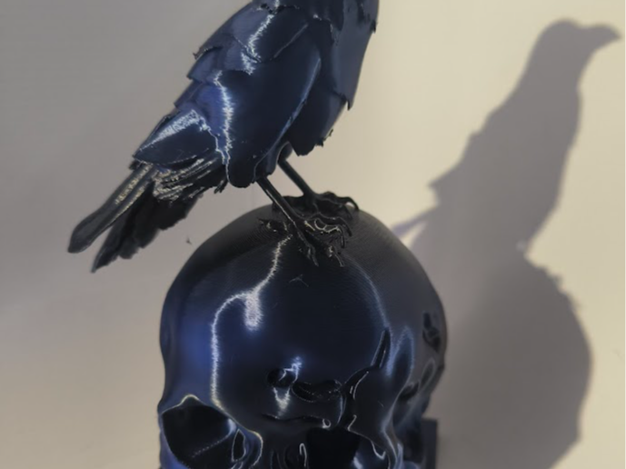 Schädel mit Rabe, Skull with ravens