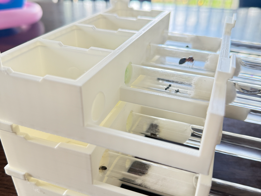 Stackable Ant Farm - Test Tube
