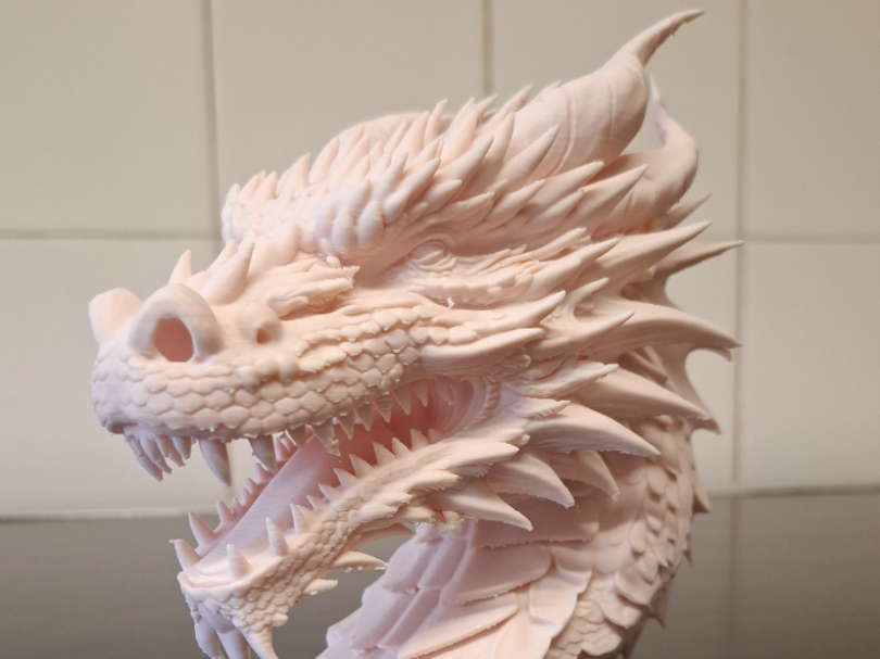 dragon head