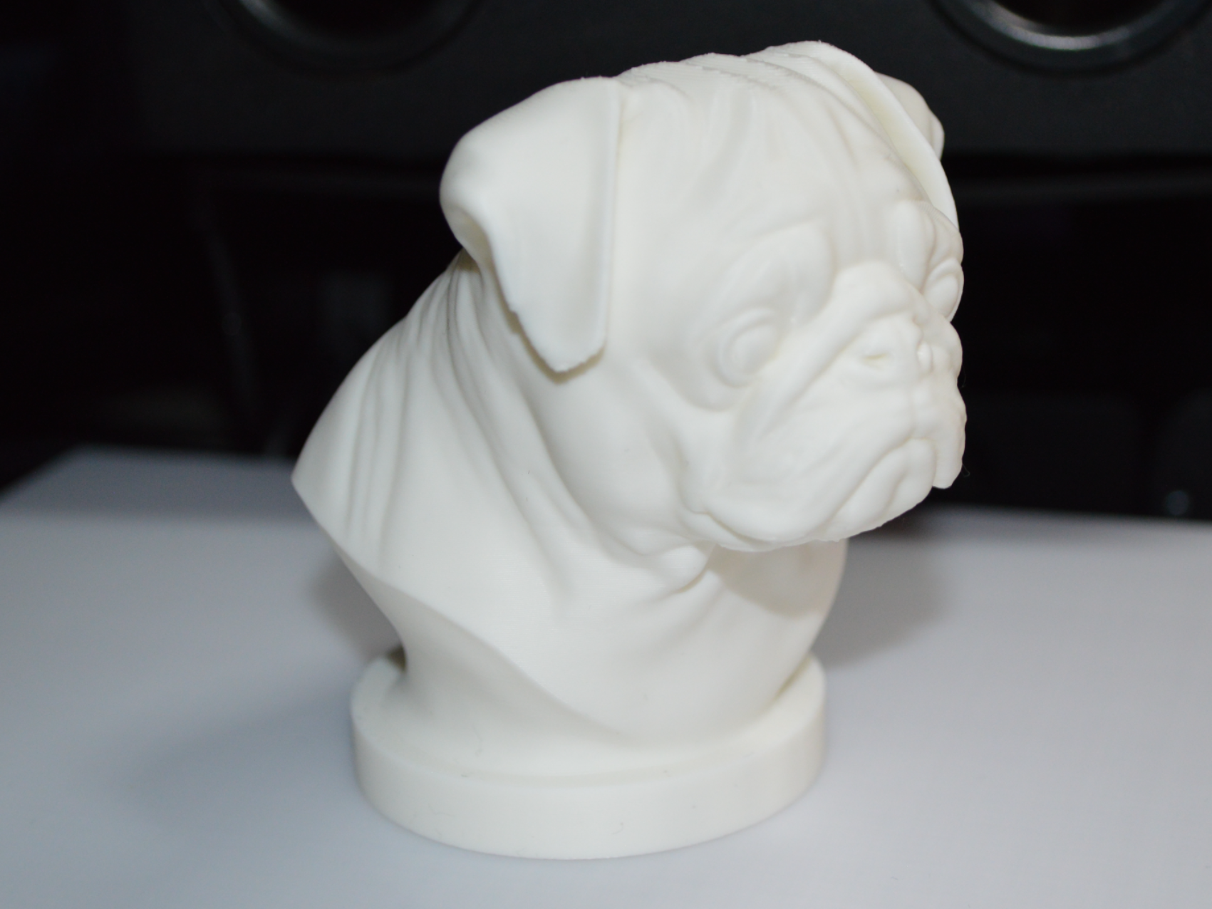 Pug Bust