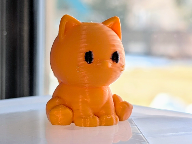 Cute Cat