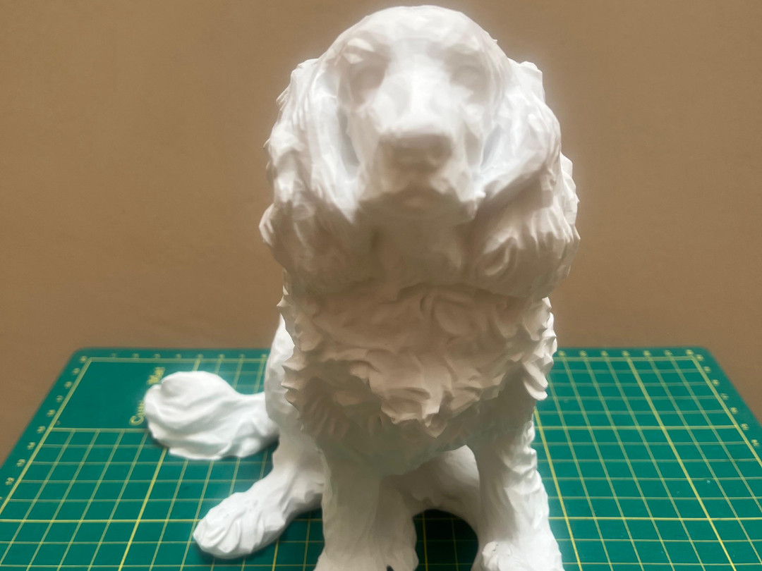 Cocker dog