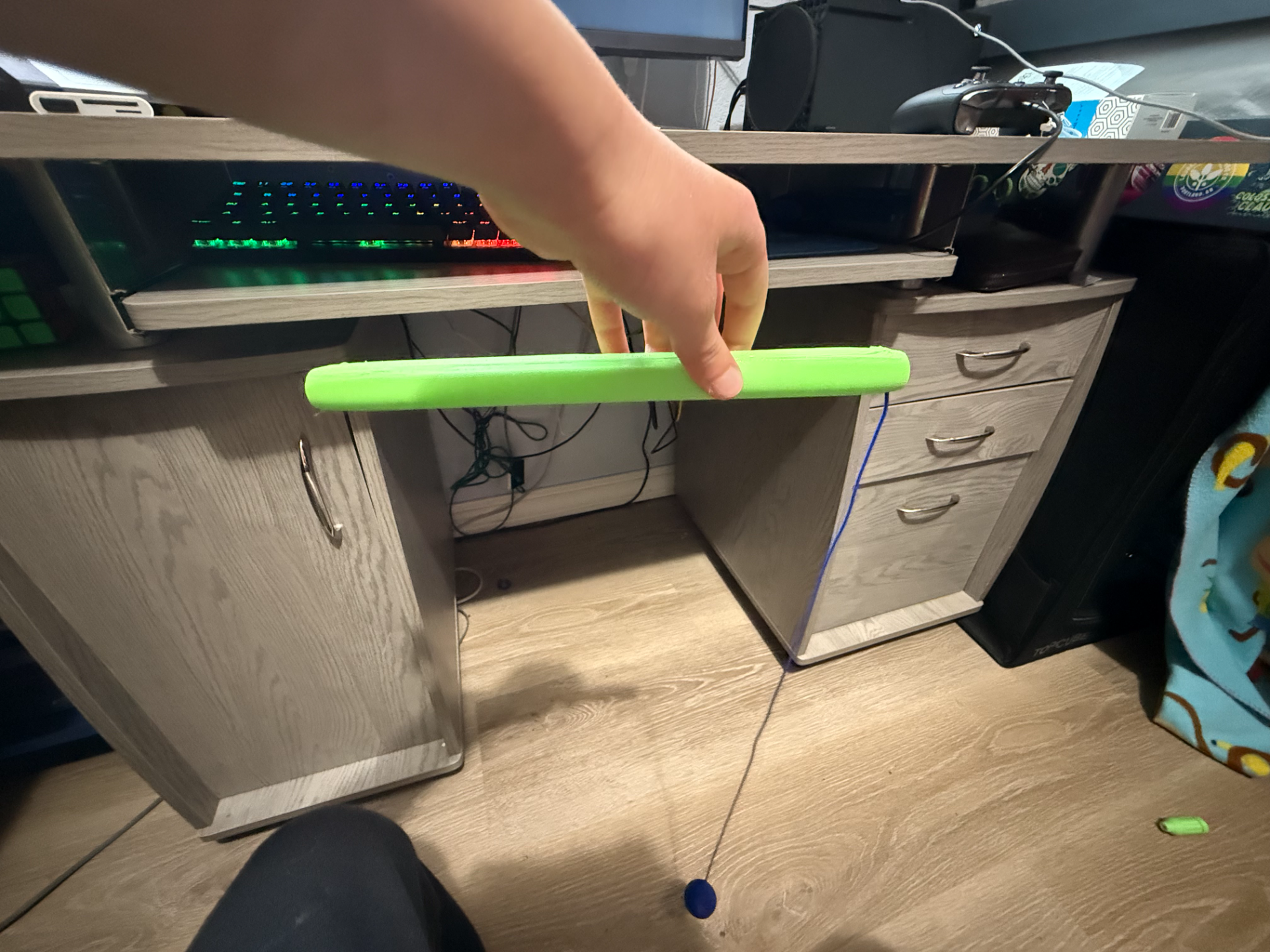 cat toy