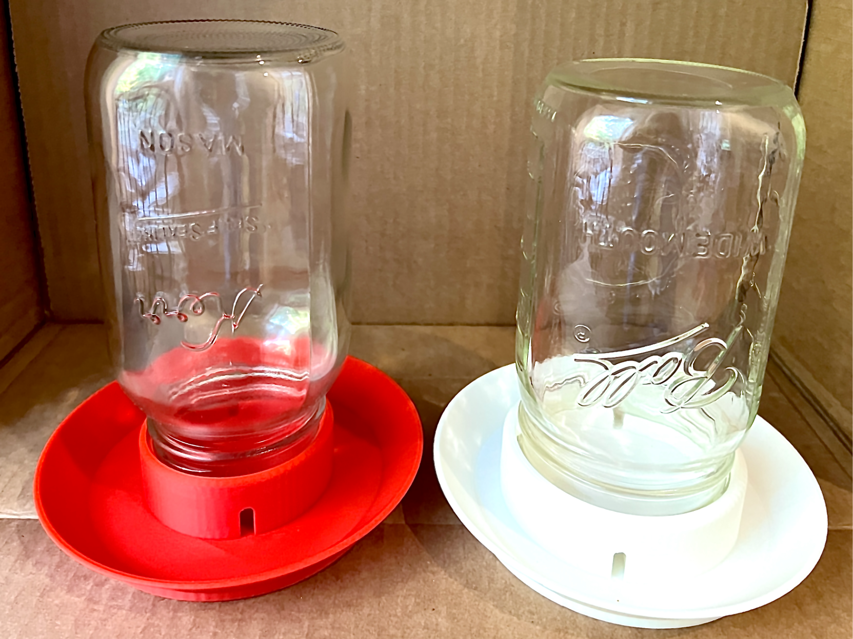 Chick Waterer