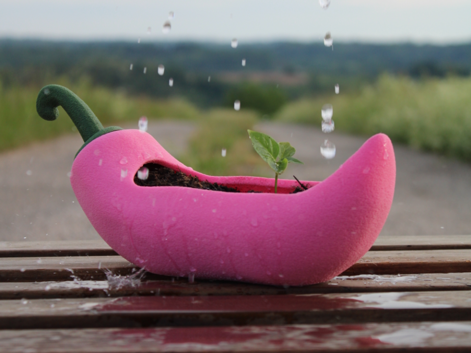 Chili Planter