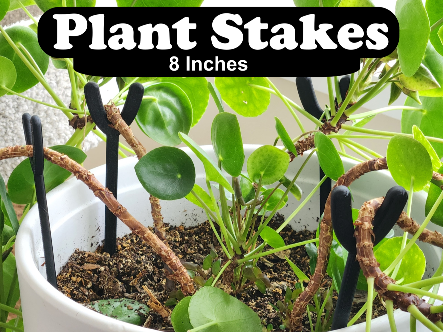 Plant Support Stake