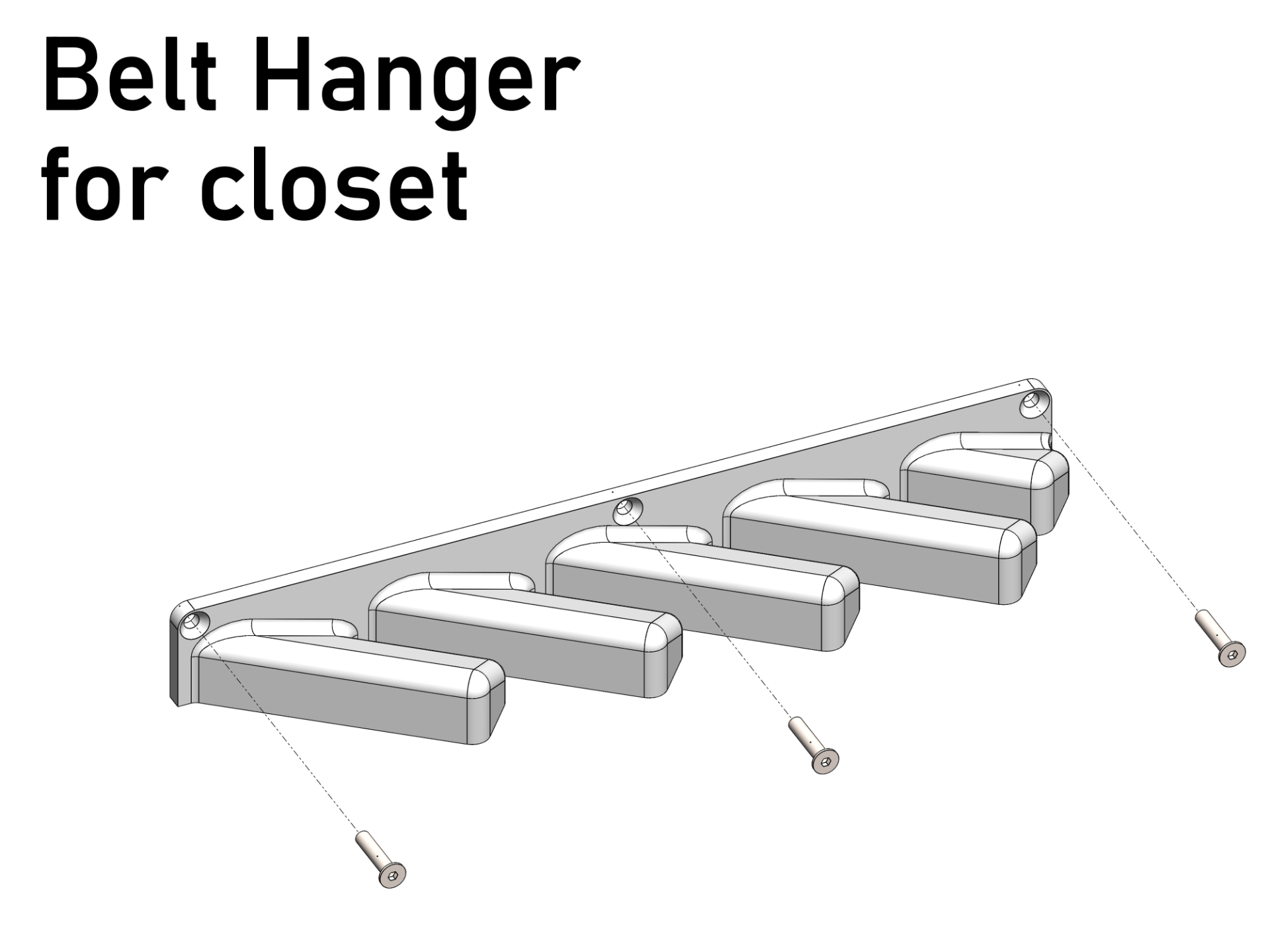 Belt hanger for closet