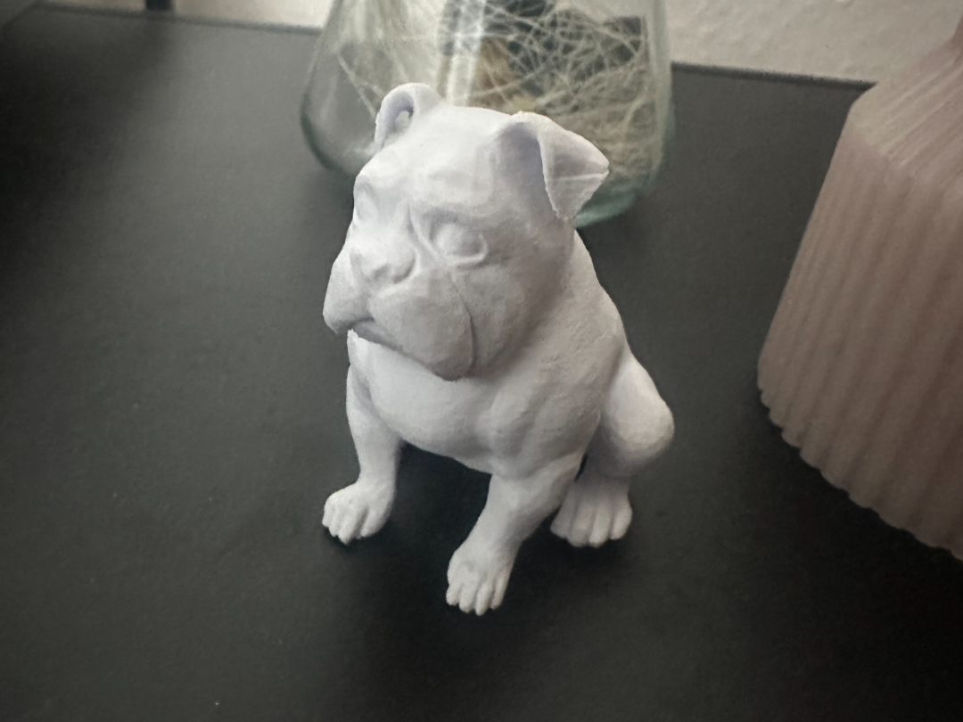 Bulldogge