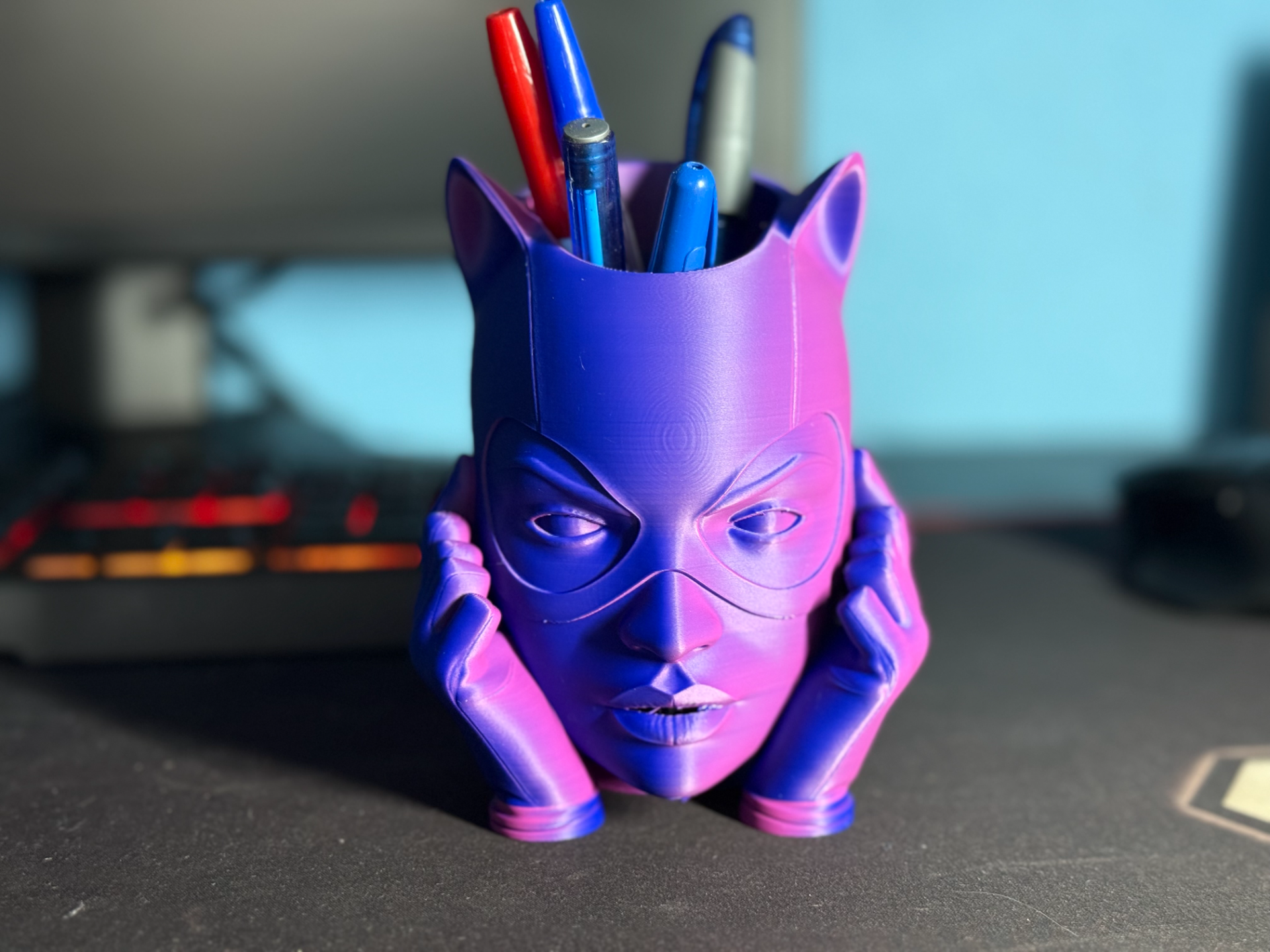 Catwoman desk orgaiser