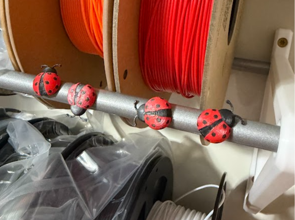 Lady Bug Fridge Magnet