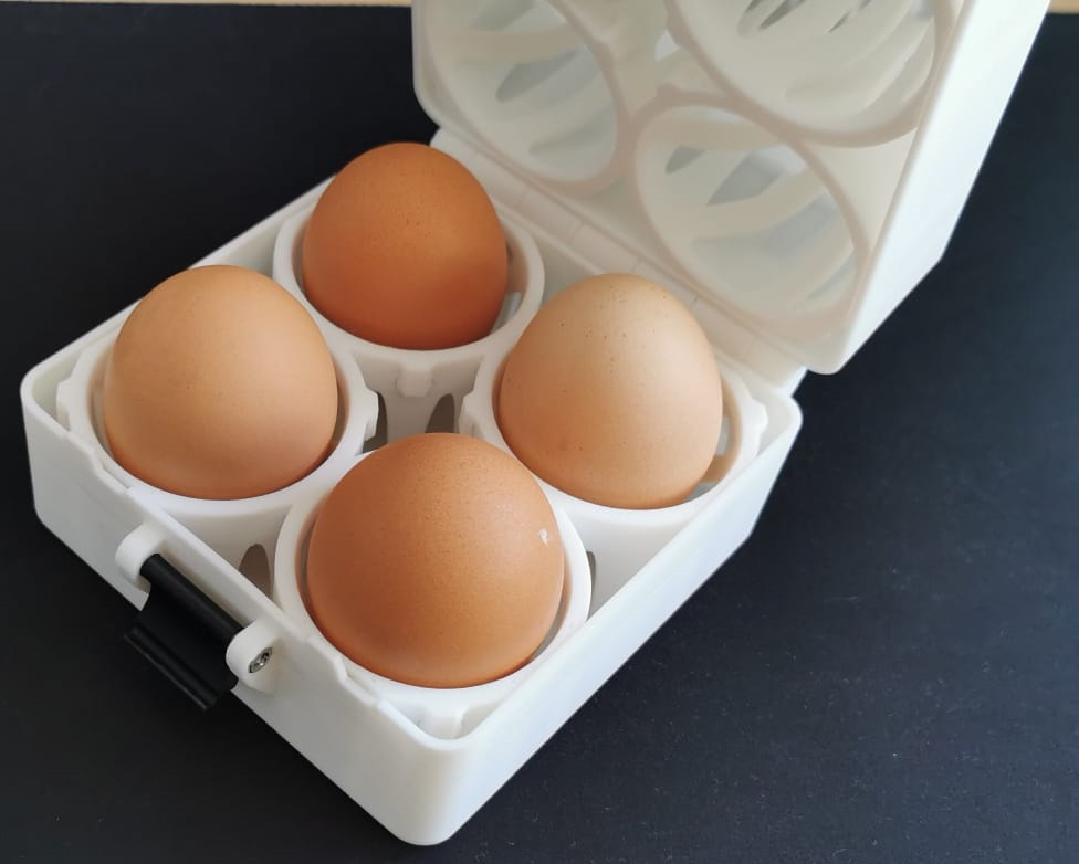 Eggtastic Egg Transport Box