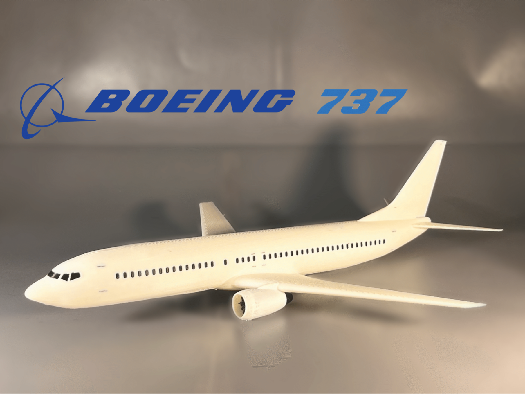 Boeing 737-800 / Print-In-Place