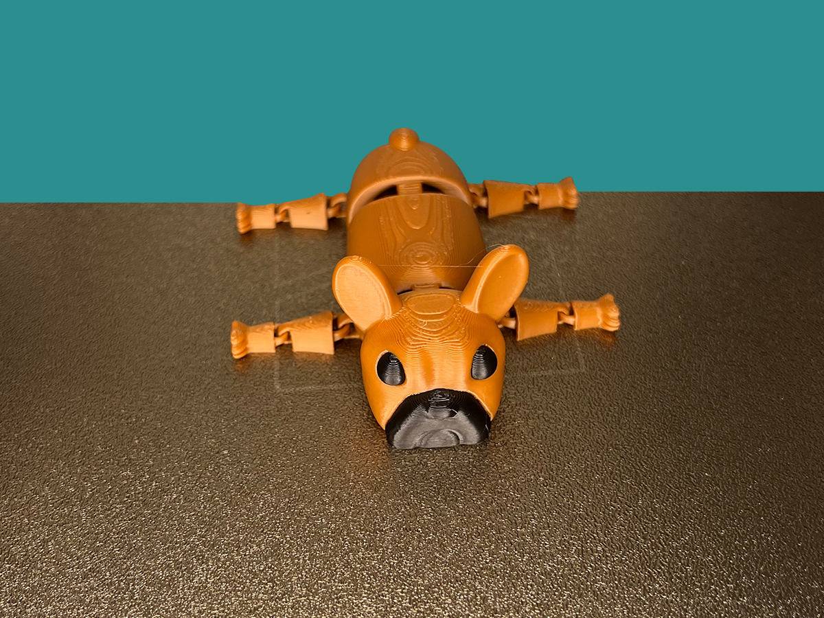 Aritculated French Bulldog Flexi