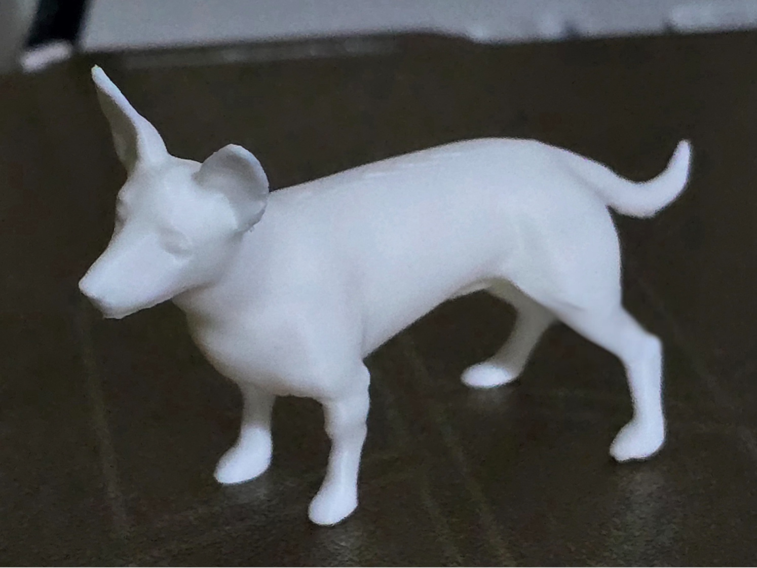 Small dog