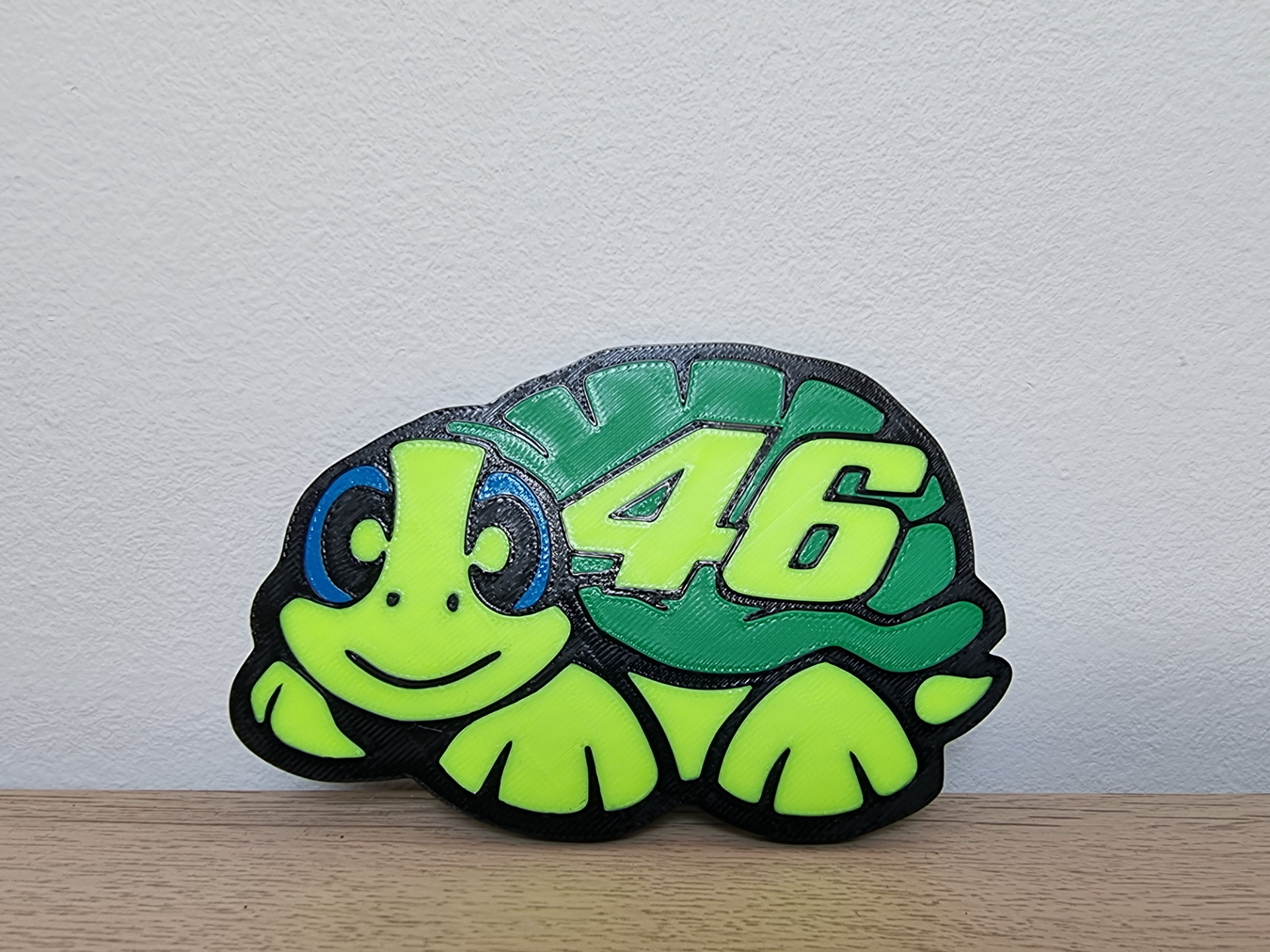 VR46 Turtle | Coaster