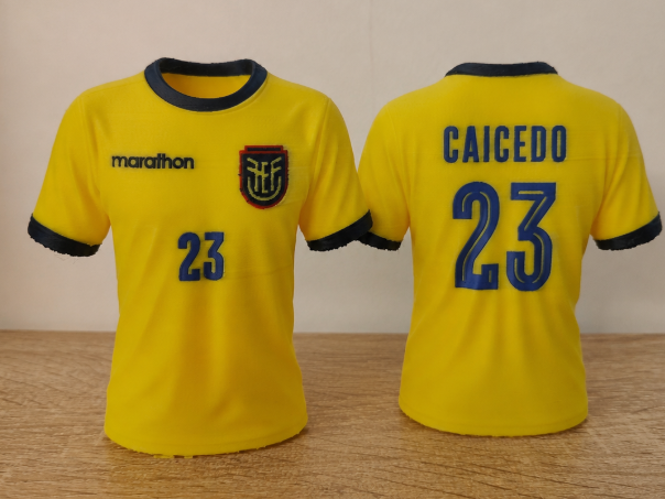 Ecuador Jersey – Caicedo #20 - World Cup
