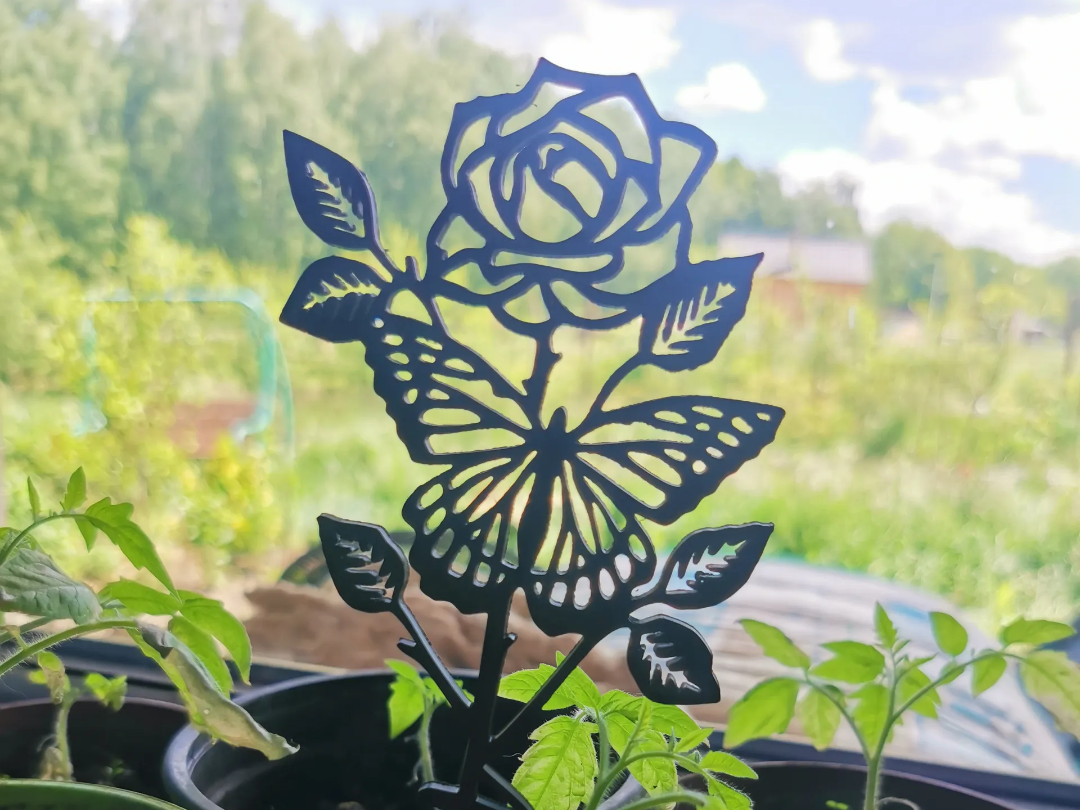 Rose for the Mom's Day (mother's day)