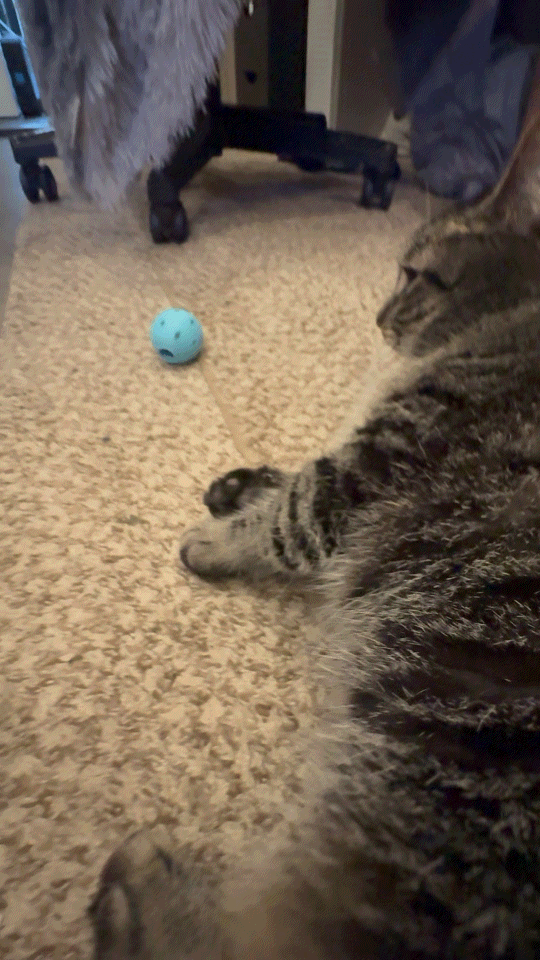 Catnip Cat ball
