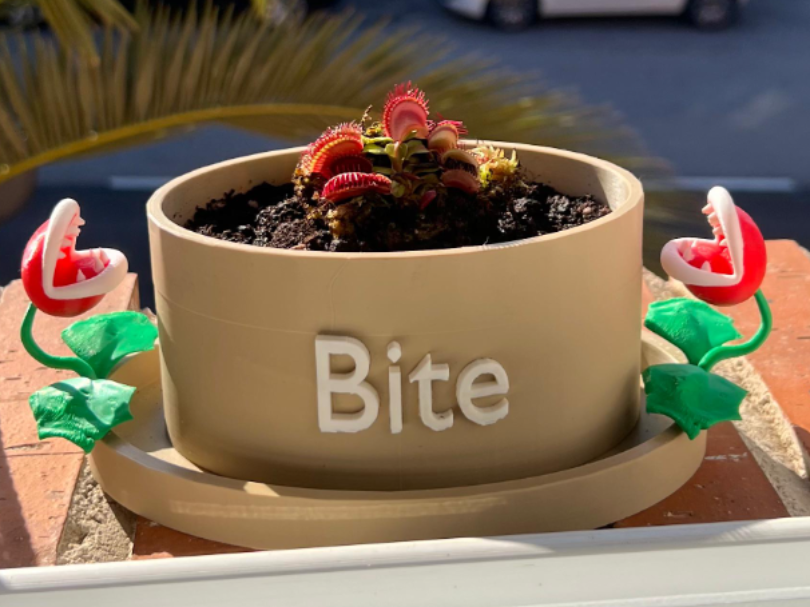 Maceta Planta Carnívora: ¡Bite Edition!