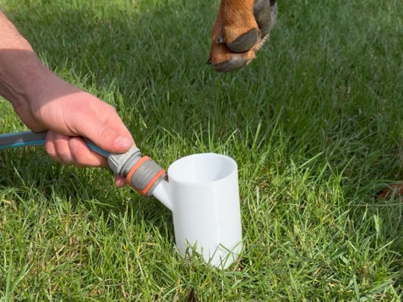 AquaTwist: Sanfter Pfotenreiniger mit Wasserwirbel