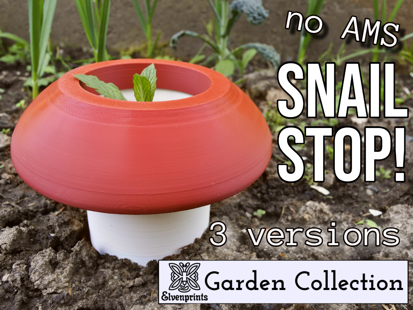 snail stop