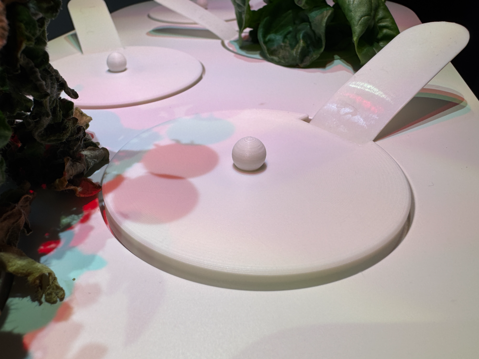 Click and Grow Pod Cap