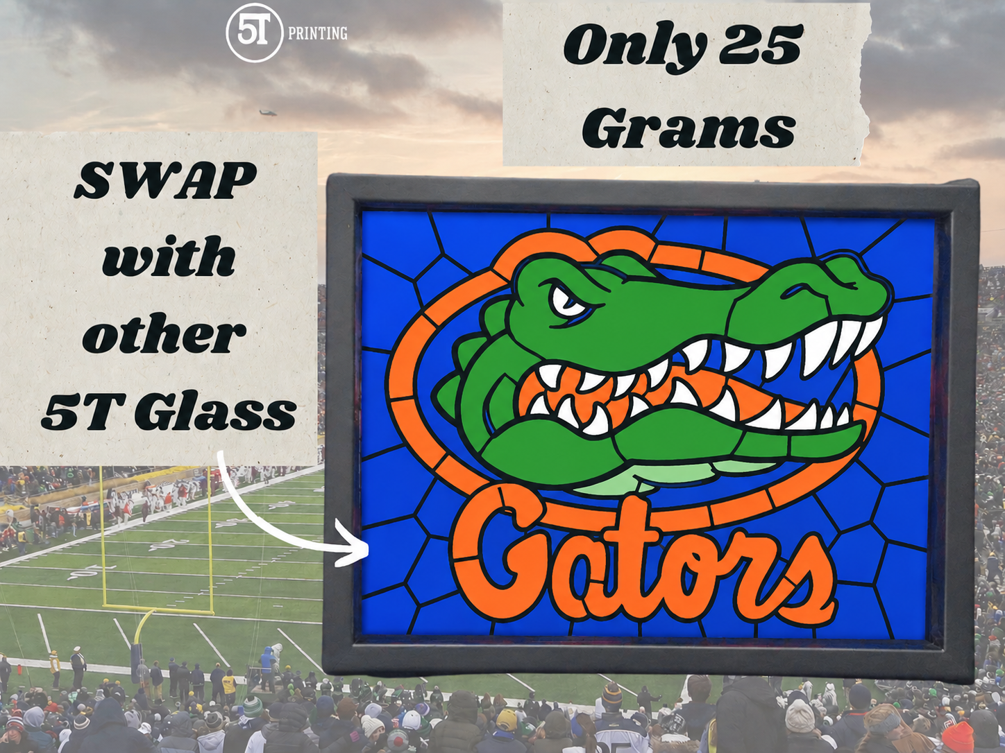 Florida Gators light (Swappable Glass)