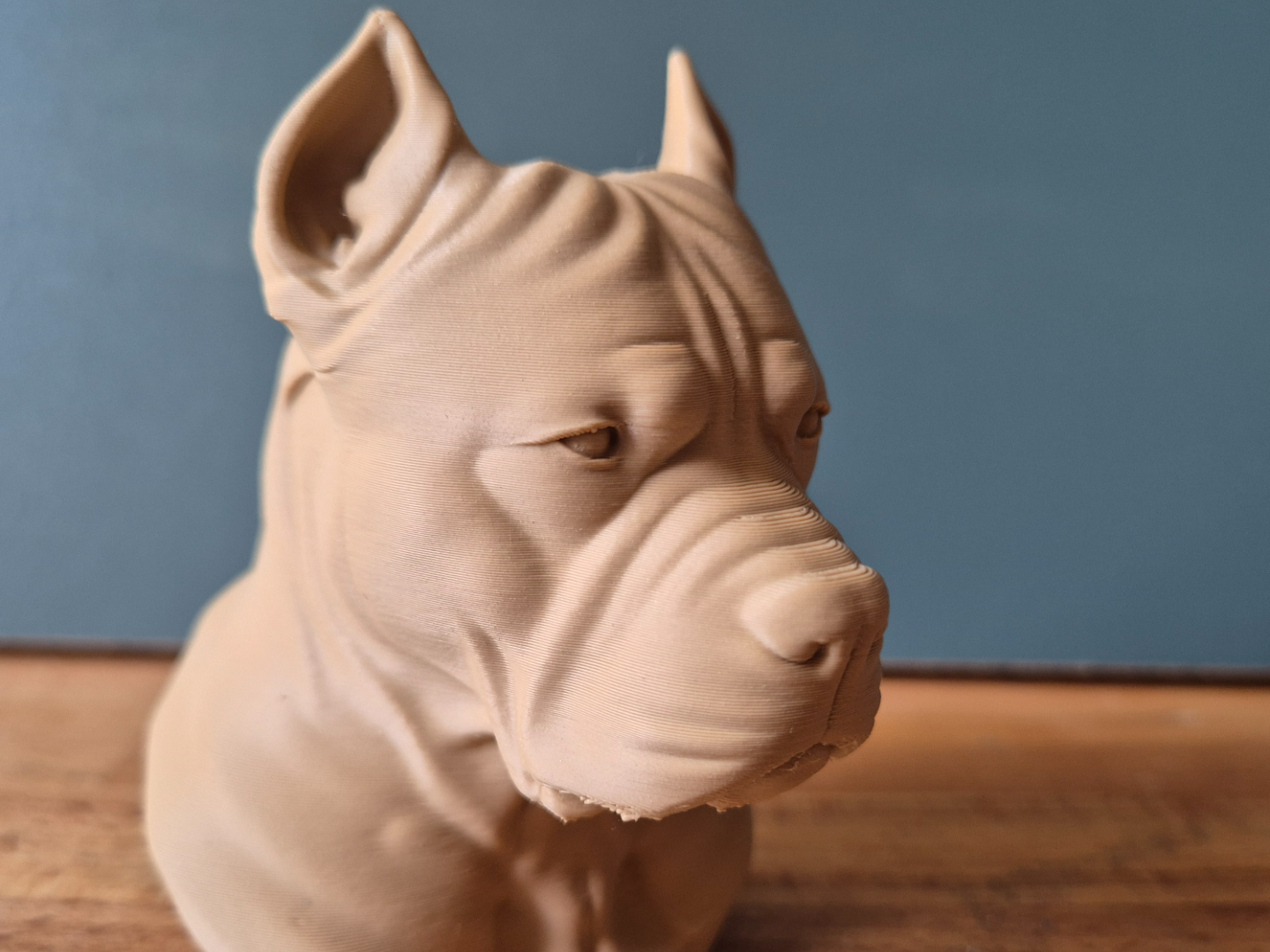 Pitbull terrier Bust – Realistic Dog Sculpture