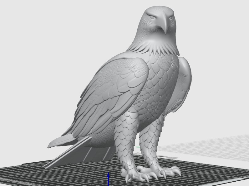 Majestic Golden Eagle - High Detail Nature Decor