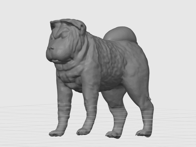 Shar Pei Dog