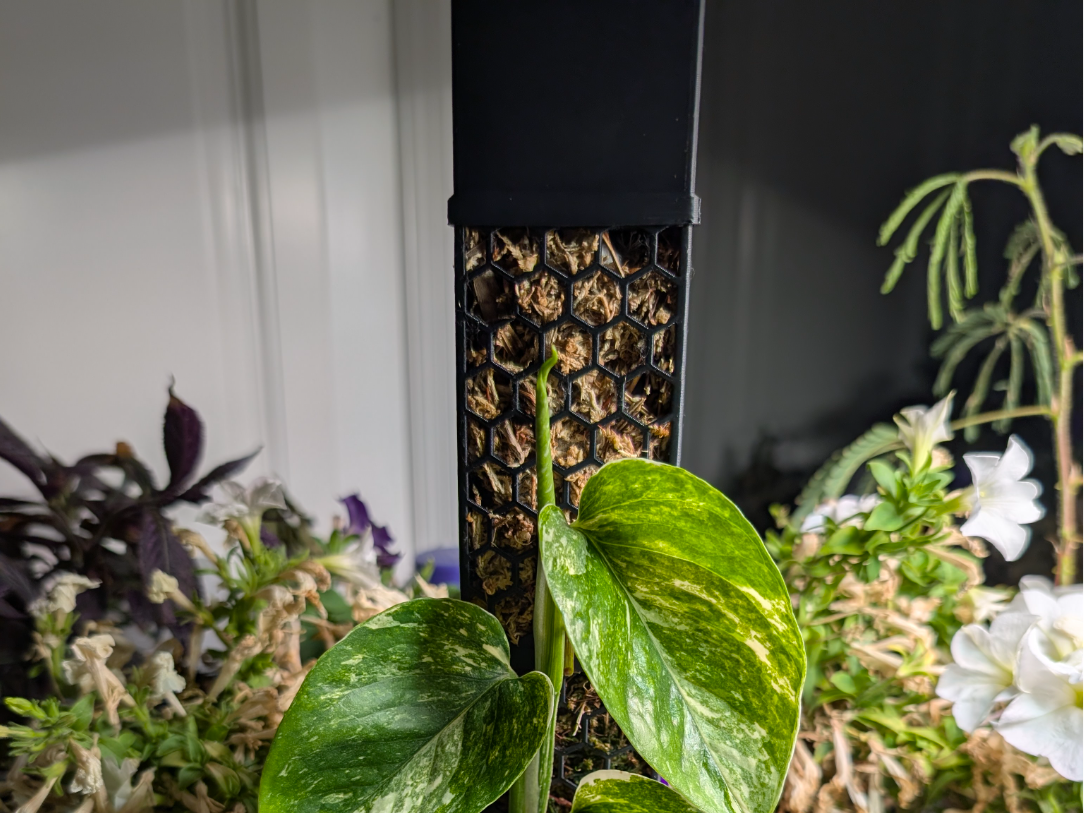 Modular Moss Pole