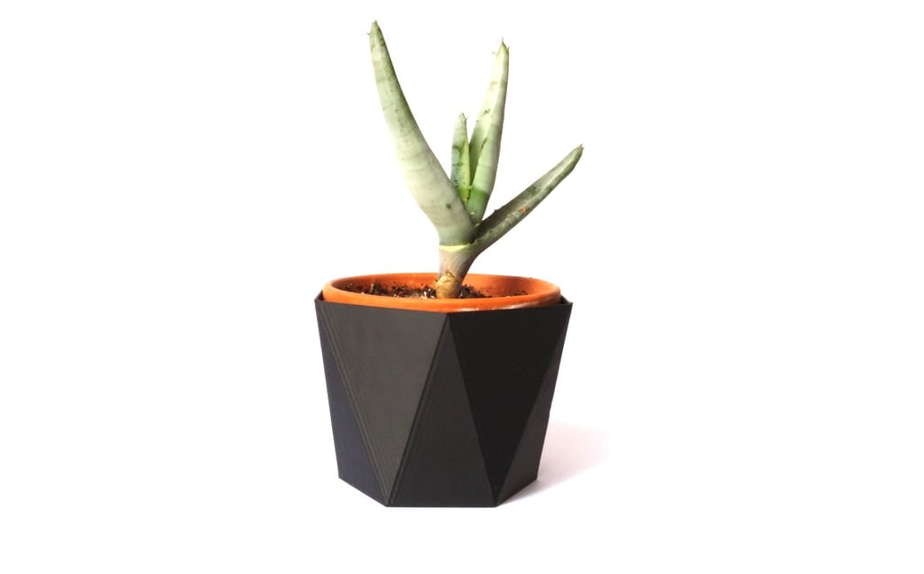 Hexagon flower pot #6