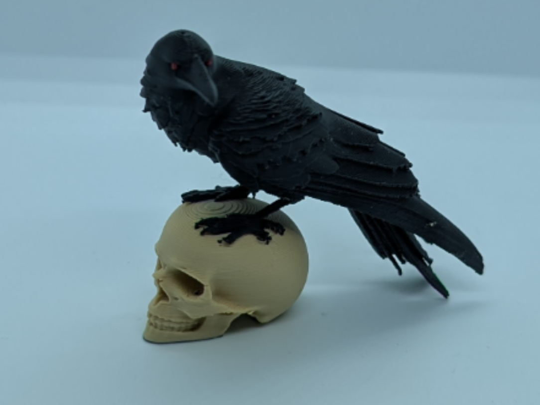 Raven’s Perch  Where Shadows & Rest Silence Speaks
