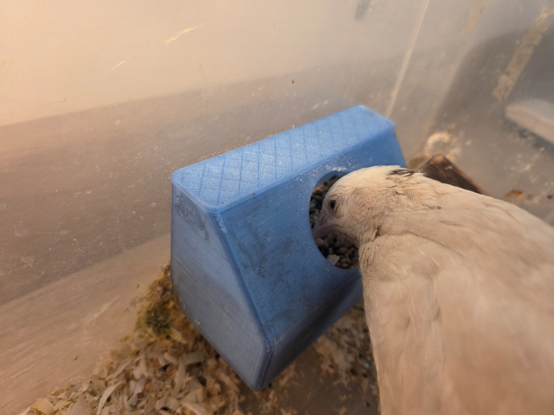 No-Mess Quail Feeder (Anti-Waste Design)