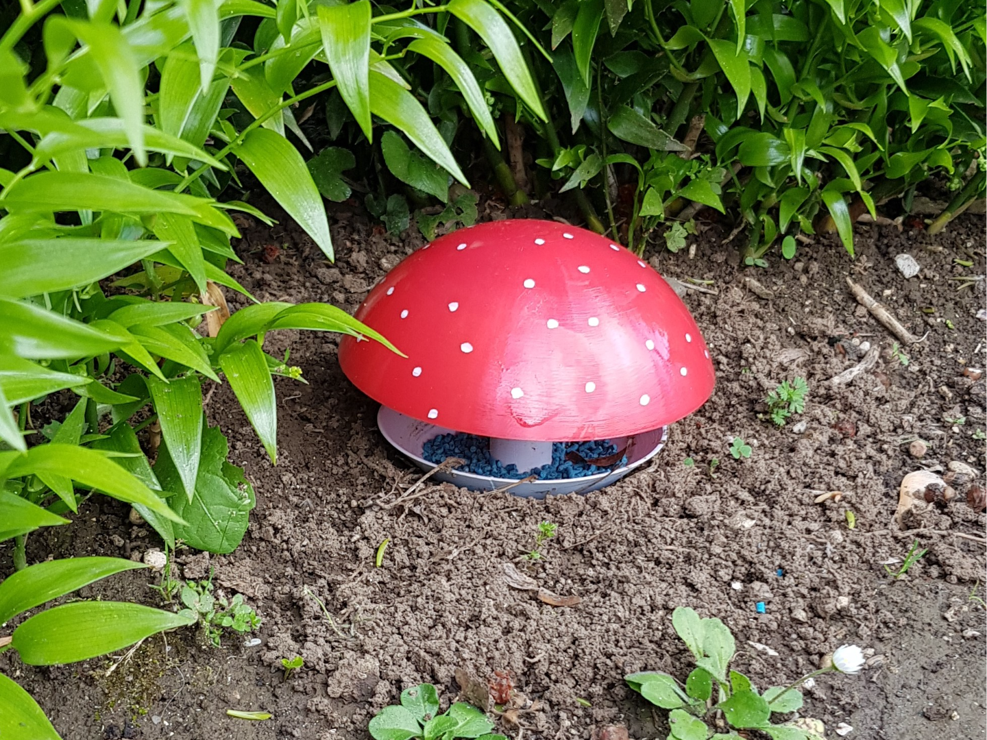 Mushroom Snail Trap - Slug Trap
