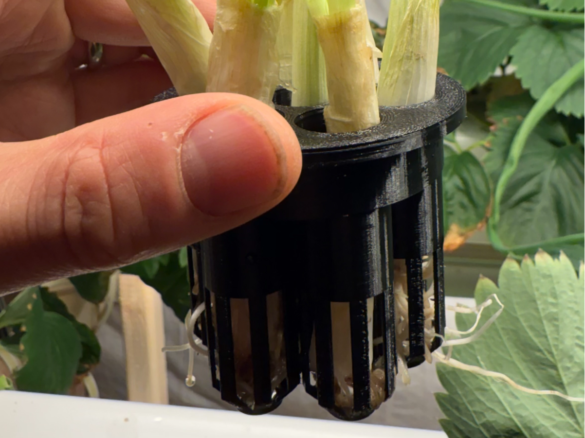 Green onion holder for 2" hole (hydroponic)