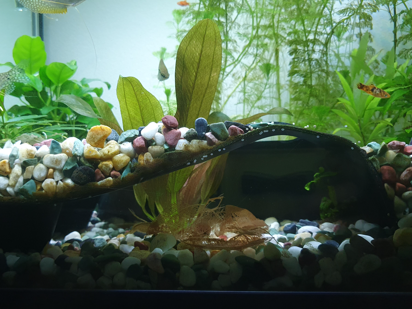 Large Fish Cave (30x28cm and 25x23cm)