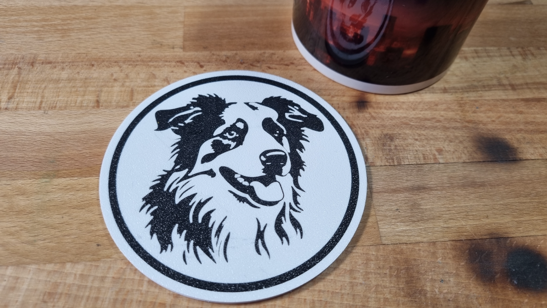 Australian Shepherd