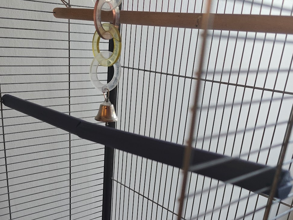 Branche pour cage à oiseau Zolux