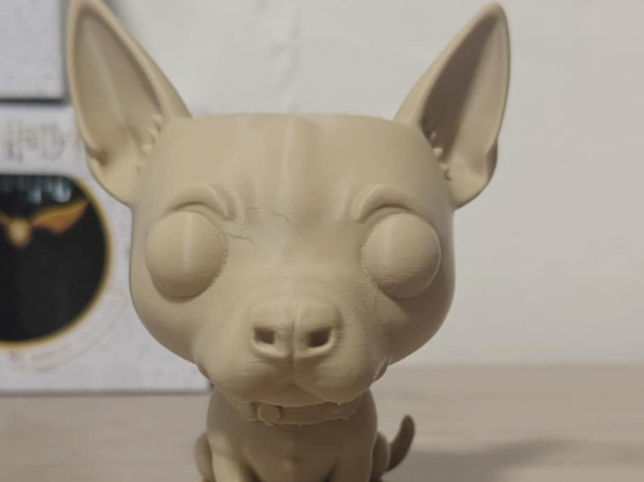 chien staff