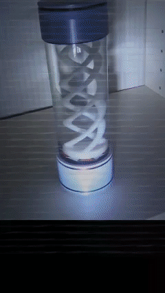 Resident Evil T-Virus