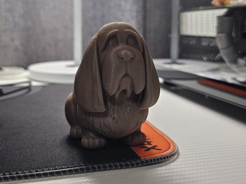 Basset hound