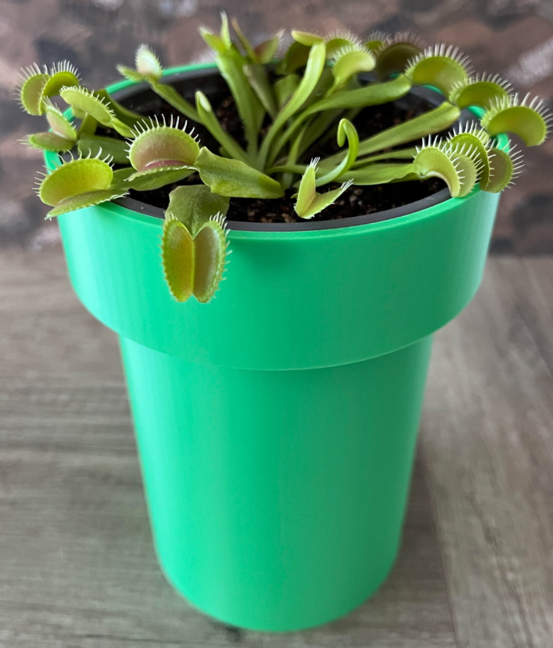 Super Mario Piranha Plant Vase Pianta Carnivora