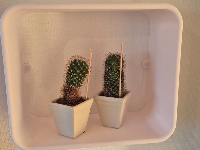 Wall Shelf