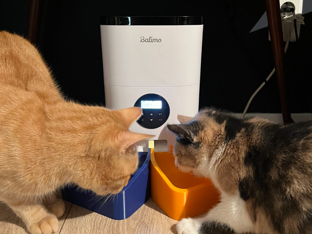 Dual box for Balimo Cat feeder