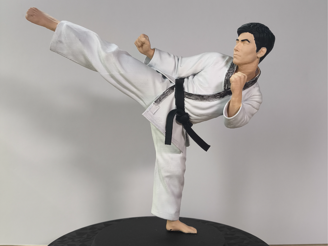 Taekwondo Figure
