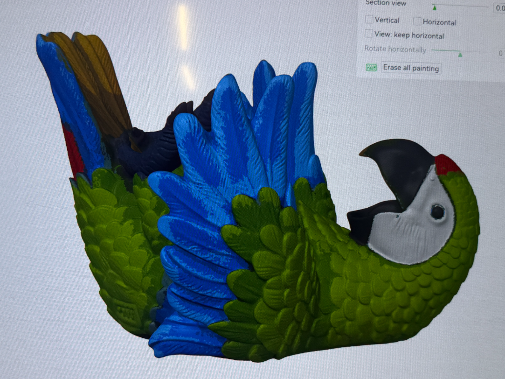 Macaw Wine Holder green blue