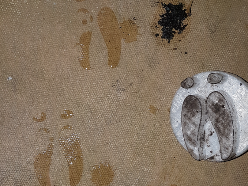 reindeer hoof print